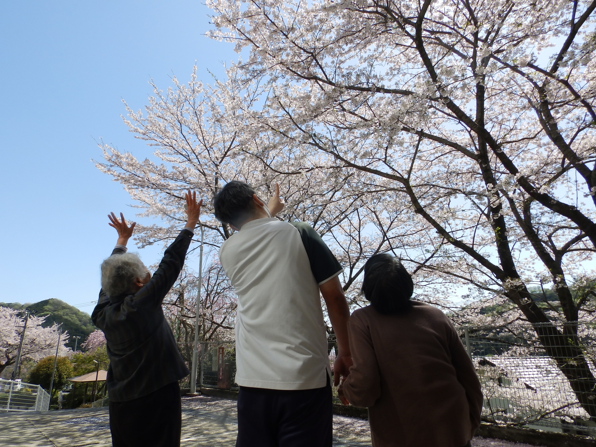 【だいろくデイサービス】ブログはじめました