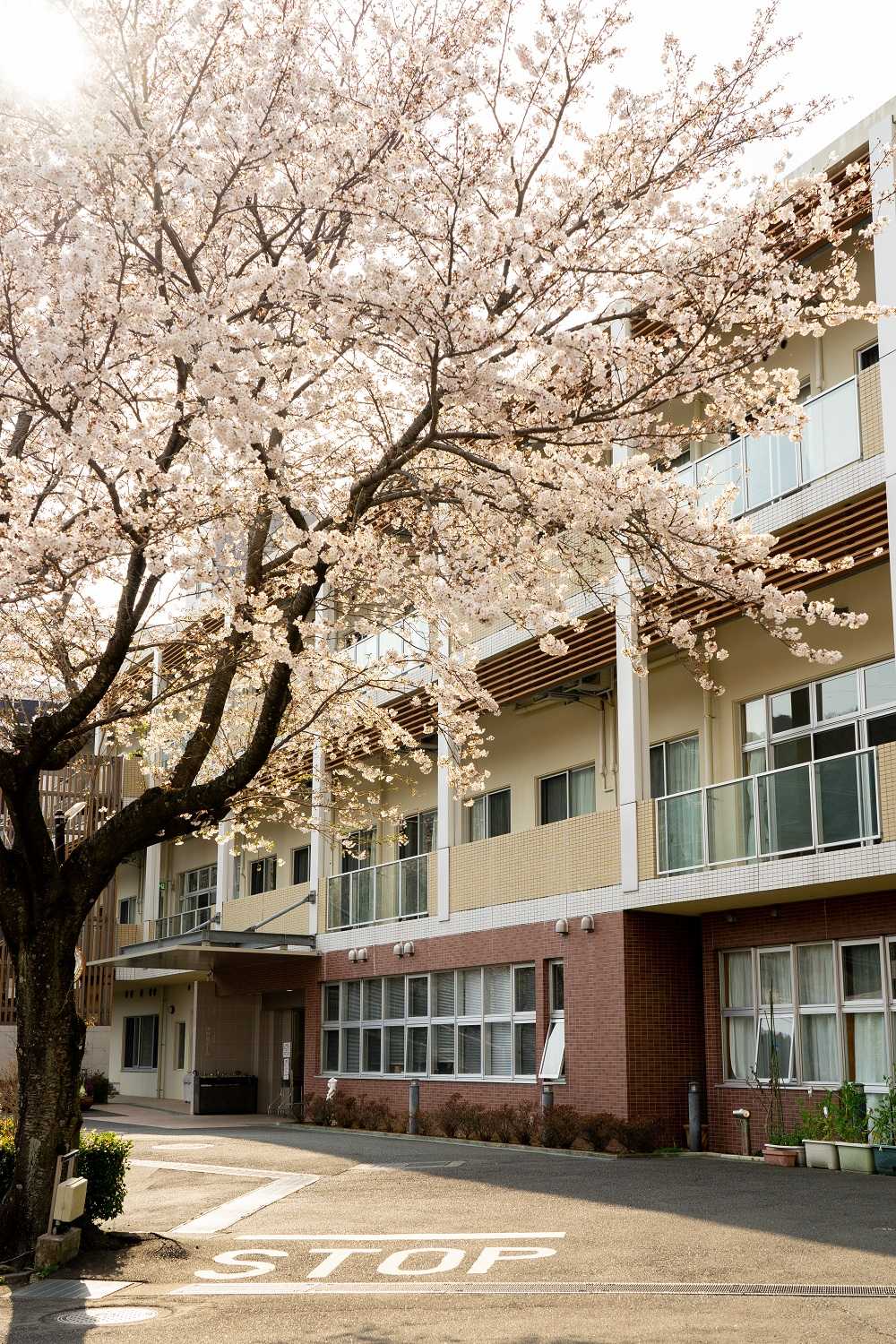 ホームページリニューアルしました！